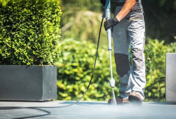Professional Pressure Washing Services in Ripley, WV
