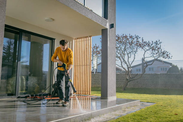 Best Pre-Holiday Cleaning  in Ripley, WV